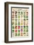 Herbs & Spices-null-Framed Premium Giclee Print