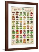 Herbs & Spices-null-Framed Premium Giclee Print