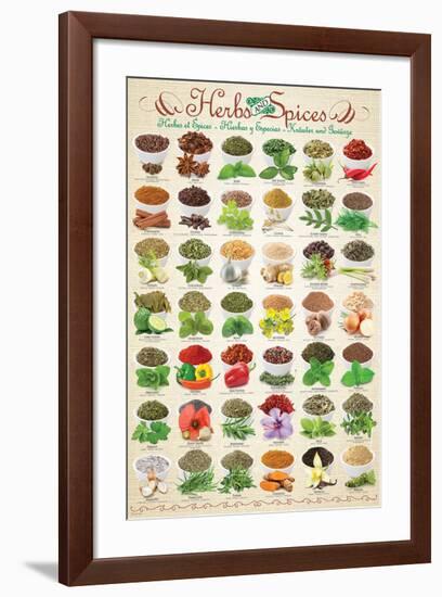 Herbs & Spices-null-Framed Premium Giclee Print