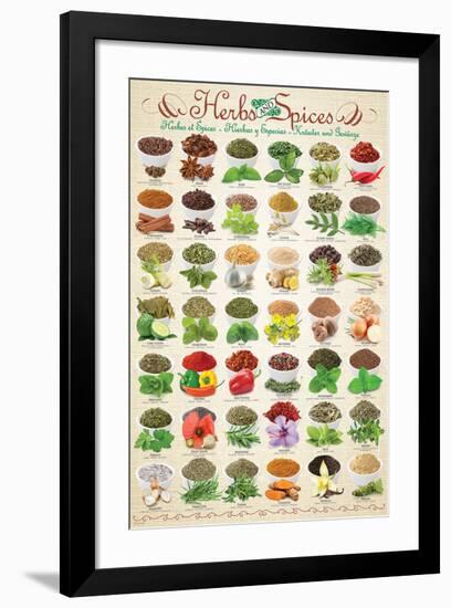 Herbs & Spices-null-Framed Premium Giclee Print