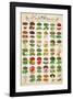 Herbs & Spices-null-Framed Premium Giclee Print