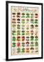 Herbs & Spices-null-Framed Premium Giclee Print