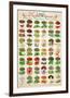 Herbs & Spices-null-Framed Premium Giclee Print