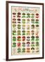 Herbs & Spices-null-Framed Premium Giclee Print