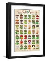 Herbs & Spices-null-Framed Art Print