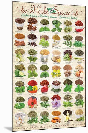 Herbs & Spices-null-Mounted Art Print