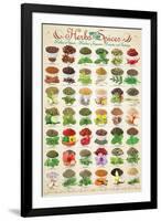 Herbs & Spices-null-Framed Art Print