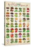 Herbs & Spices-null-Stretched Canvas