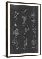 Herbs-Clara Wells-Framed Giclee Print