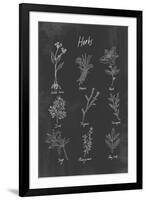 Herbs-Clara Wells-Framed Giclee Print