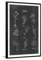 Herbs-Clara Wells-Framed Giclee Print