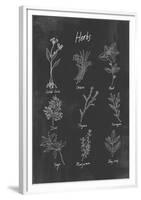 Herbs-Clara Wells-Framed Giclee Print