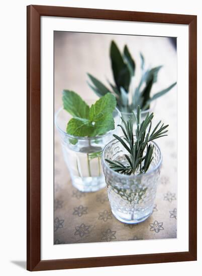 Herbs-Veronique Leplat-Framed Photographic Print