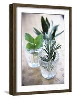 Herbs-Veronique Leplat-Framed Photographic Print