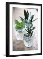 Herbs-Veronique Leplat-Framed Photographic Print