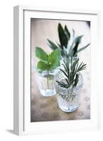 Herbs-Veronique Leplat-Framed Photographic Print