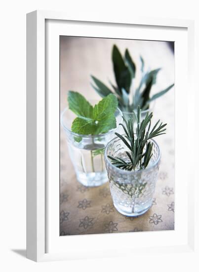 Herbs-Veronique Leplat-Framed Photographic Print