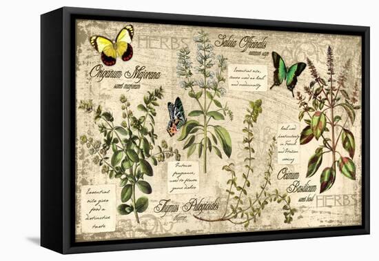 Herbs-Kate Ward Thacker-Framed Stretched Canvas