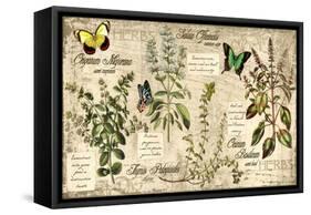 Herbs-Kate Ward Thacker-Framed Stretched Canvas