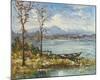 Herbst Am Seehamer See-Andreas Betz-Mounted Collectable Print