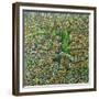 Herbst Tors, 2023 (Oil on Canvas)-Noel Paine-Framed Giclee Print