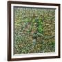 Herbst Tors, 2023 (Oil on Canvas)-Noel Paine-Framed Giclee Print