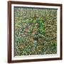 Herbst Tors, 2023 (Oil on Canvas)-Noel Paine-Framed Giclee Print