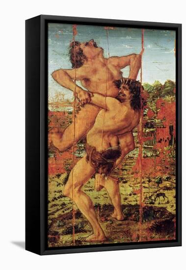 Hercules and Antaeus, 1478-Antonio Pollaiuolo-Framed Stretched Canvas