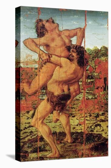 Hercules and Antaeus, 1478-Antonio Pollaiuolo-Stretched Canvas