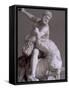 Hercules and Nessus by Giambologna, Loggia Della Signoria, Florence, Tuscany, Italy-Patrick Dieudonne-Framed Stretched Canvas