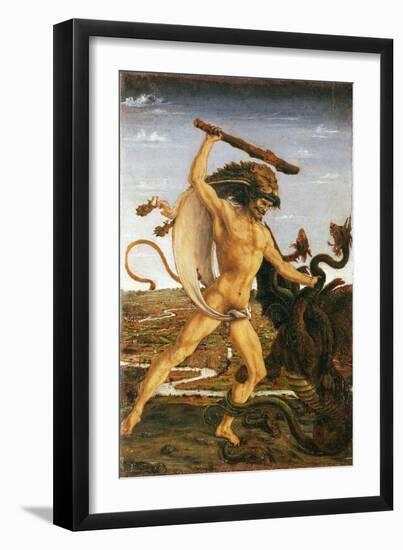 Hercules and the Hydra-Antonio Del Pollaiolo-Framed Giclee Print