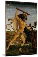 Hercules and the Hydra-Antonio Pollaiolo-Mounted Giclee Print