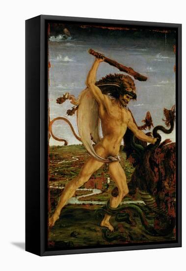 Hercules and the Hydra-Antonio Pollaiolo-Framed Stretched Canvas