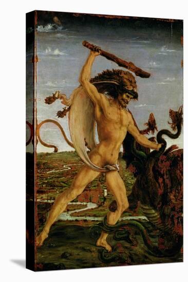 Hercules and the Hydra-Antonio Pollaiolo-Stretched Canvas