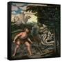 Hercules and the Lernaean Hydra (From the Labours of Hercule)-Lucas Cranach the Elder-Framed Stretched Canvas