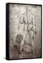 Hercules and the Nemean Lion, c.1504-8-Leonardo da Vinci-Framed Stretched Canvas