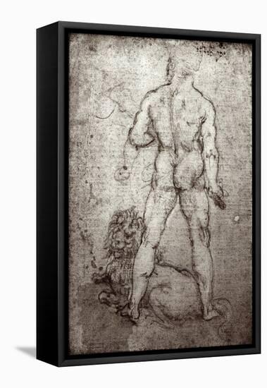 Hercules and the Nemean Lion, c.1504-8-Leonardo da Vinci-Framed Stretched Canvas