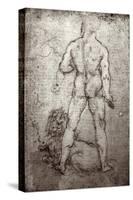 Hercules and the Nemean Lion, c.1504-8-Leonardo da Vinci-Stretched Canvas
