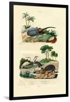 Hercules Beetle, 1833-39-null-Framed Giclee Print