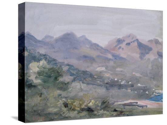 Stretched Canvas Print, , large