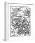 Hercules Killing the Molionides, C1496-1498-Albrecht Durer-Framed Giclee Print