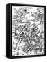 Hercules Killing the Molionides, C1496-1498-Albrecht Durer-Framed Stretched Canvas