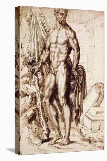 Hercules Turned to the Left, Leaning on His Club, Holding Drapery-Baccio Bandinelli-Stretched Canvas
