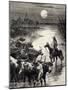 Herd Fording River in Texas, 1860, United States, 19th Century-null-Mounted Giclee Print