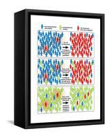 Herd Immunity-Science Source-Framed Stretched Canvas
