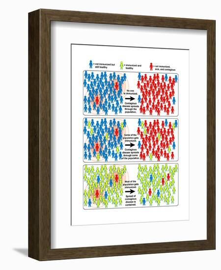 Herd Immunity-Science Source-Framed Art Print