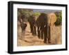 Herd of African Elephants, Kenya-null-Framed Giclee Print