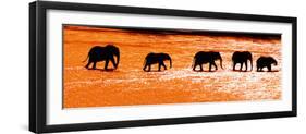 Herd of African Elephants (Loxodonta Africana) Crossing the River, Uaso Nyiro River-null-Framed Photographic Print