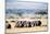 Herd of African Elephants (Loxodonta Africana) in Plains, Masai Mara National Reserve, Kenya-null-Mounted Photographic Print