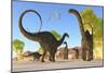 Herd of Apatosaurus Dinosaurs Wander Through a Prehistoric Forest-null-Mounted Premium Giclee Print